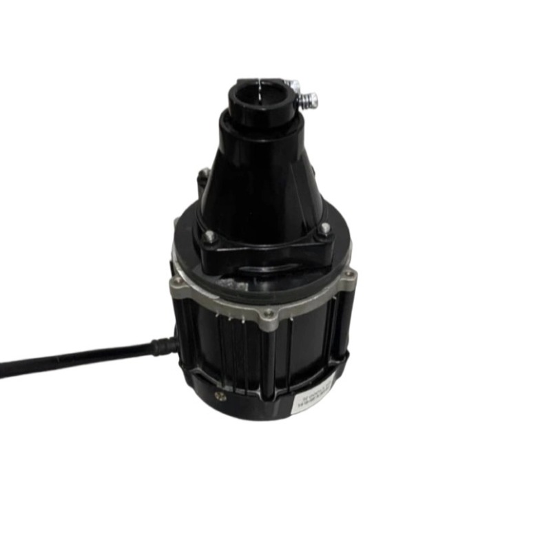12-60V 500-1500W Brushless Out - Fishing Kayak Trolling Motor avis et prix